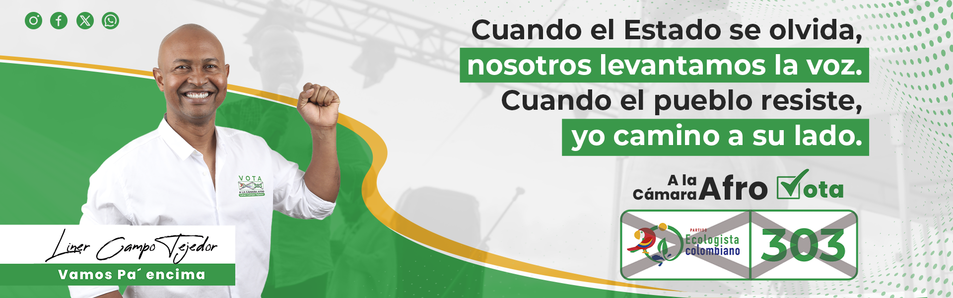 Liner Campo Tejedor Cámara